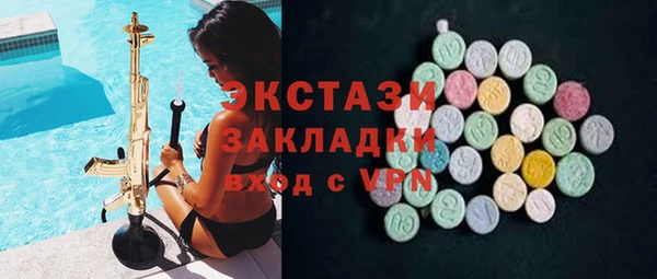 ECSTASY Богородицк