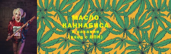ECSTASY Богородицк