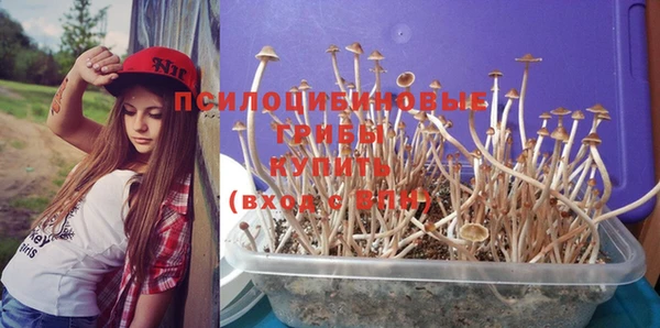 тгк Бугульма