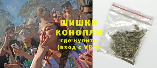 ECSTASY Богородицк