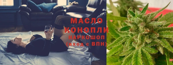 ECSTASY Богородицк