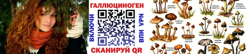 Псилоцибиновые грибы прущие грибы  кракен маркетплейс  darknet какой сайт  Яхрома 